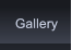 Gallery Gallery